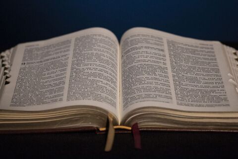 Роздуми до читань 21-ої неділі після П’ятидесятниці