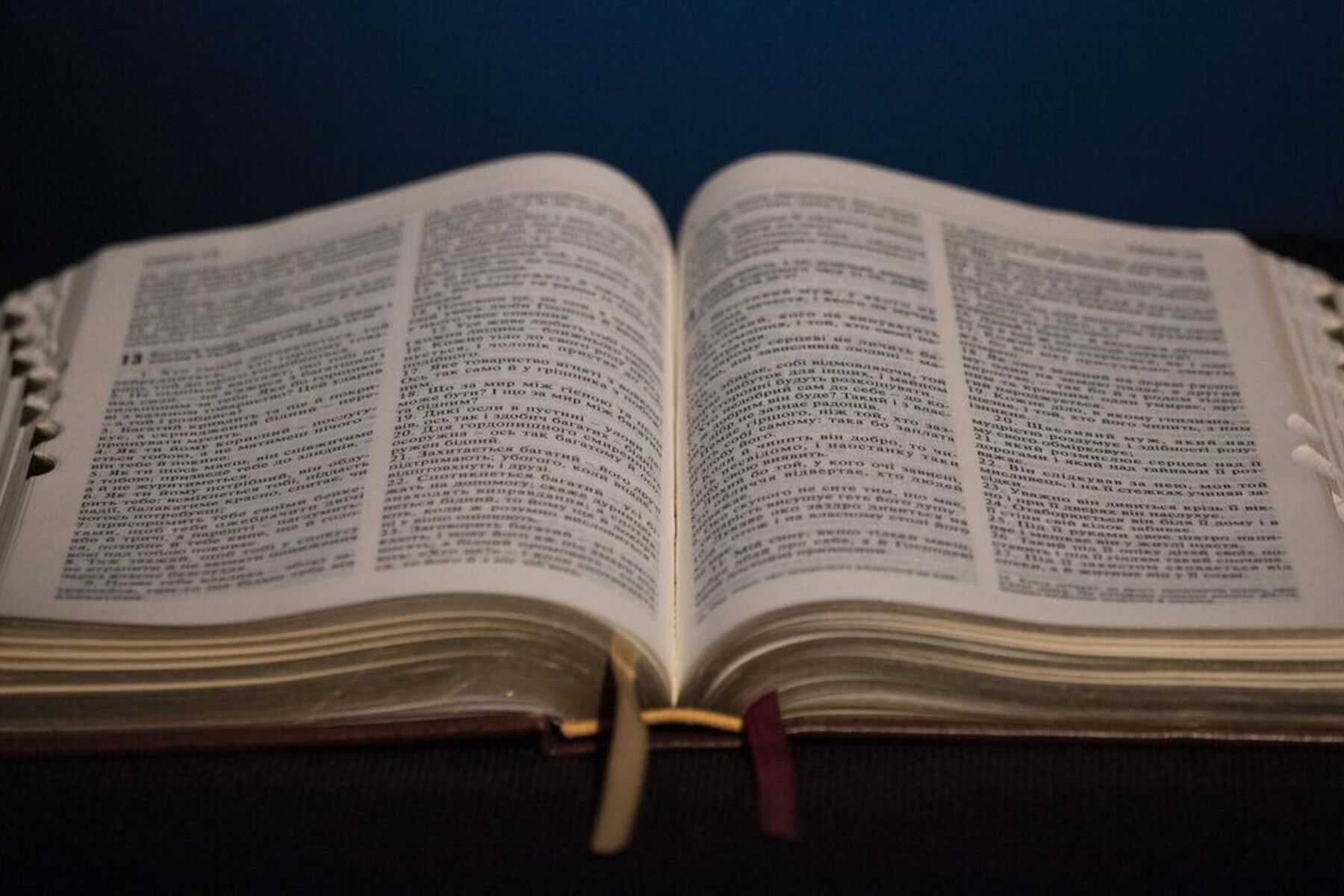 Роздуми до читань 21-ої неділі після П’ятидесятниці