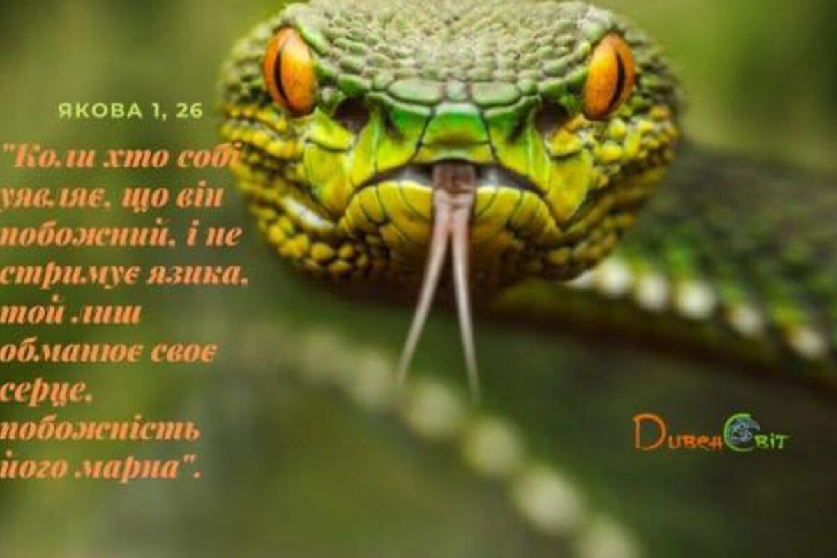 #НазустрічВоскресінню 49. «Духа пустомовства віджени від мене!»