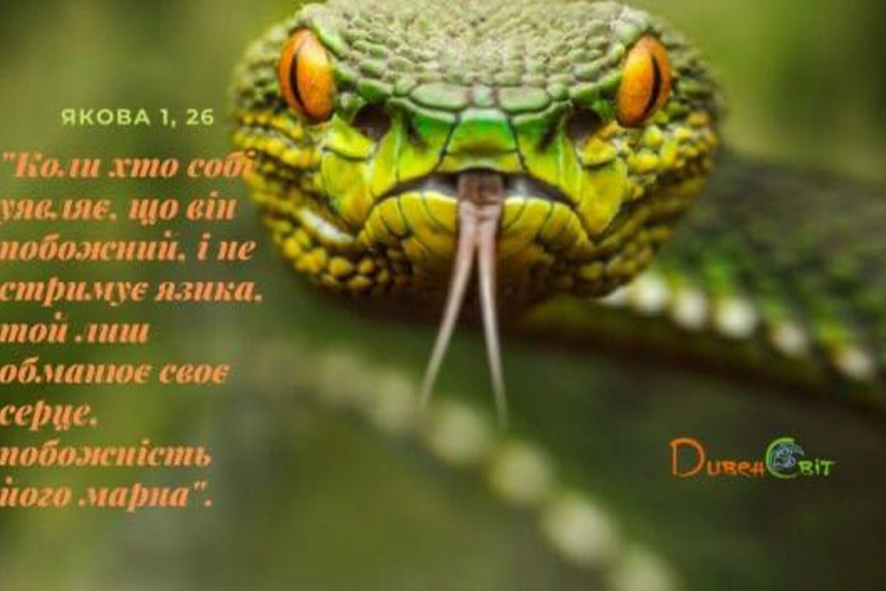 #НазустрічВоскресінню 49. «Духа пустомовства віджени від мене!»