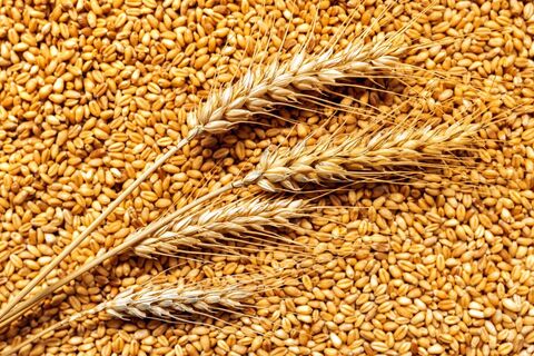 Коментар на Євангеліє 26-ої Неділі після П’ятидесятниці