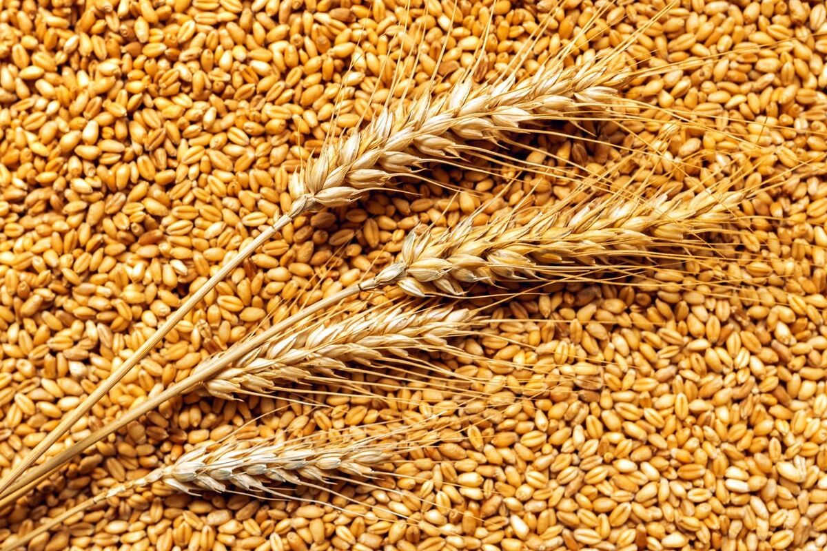 Коментар на Євангеліє 26-ої Неділі після П’ятидесятниці