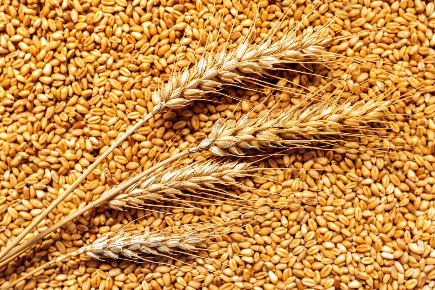 Коментар на Євангеліє 26-ої Неділі після П’ятидесятниці